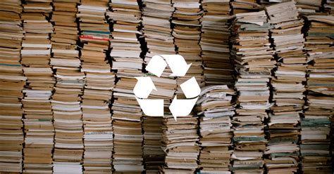 Are Books Recyclable or Garbage? A Deep Dive into the Dual Nature of a Page-Turner