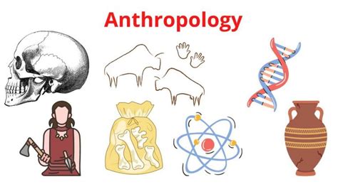 Identify the Anthropological Definition of Art: A Multidisciplinary Exploration